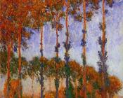 克劳德 莫奈 : Poplars on the Banks of the River Epte, Sunset